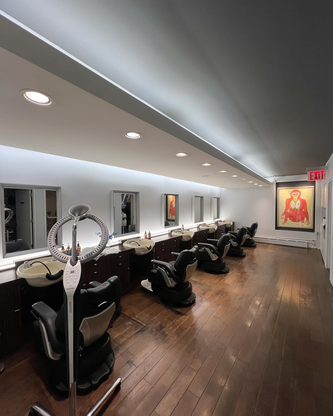 SKY GROOMING SALON Interior